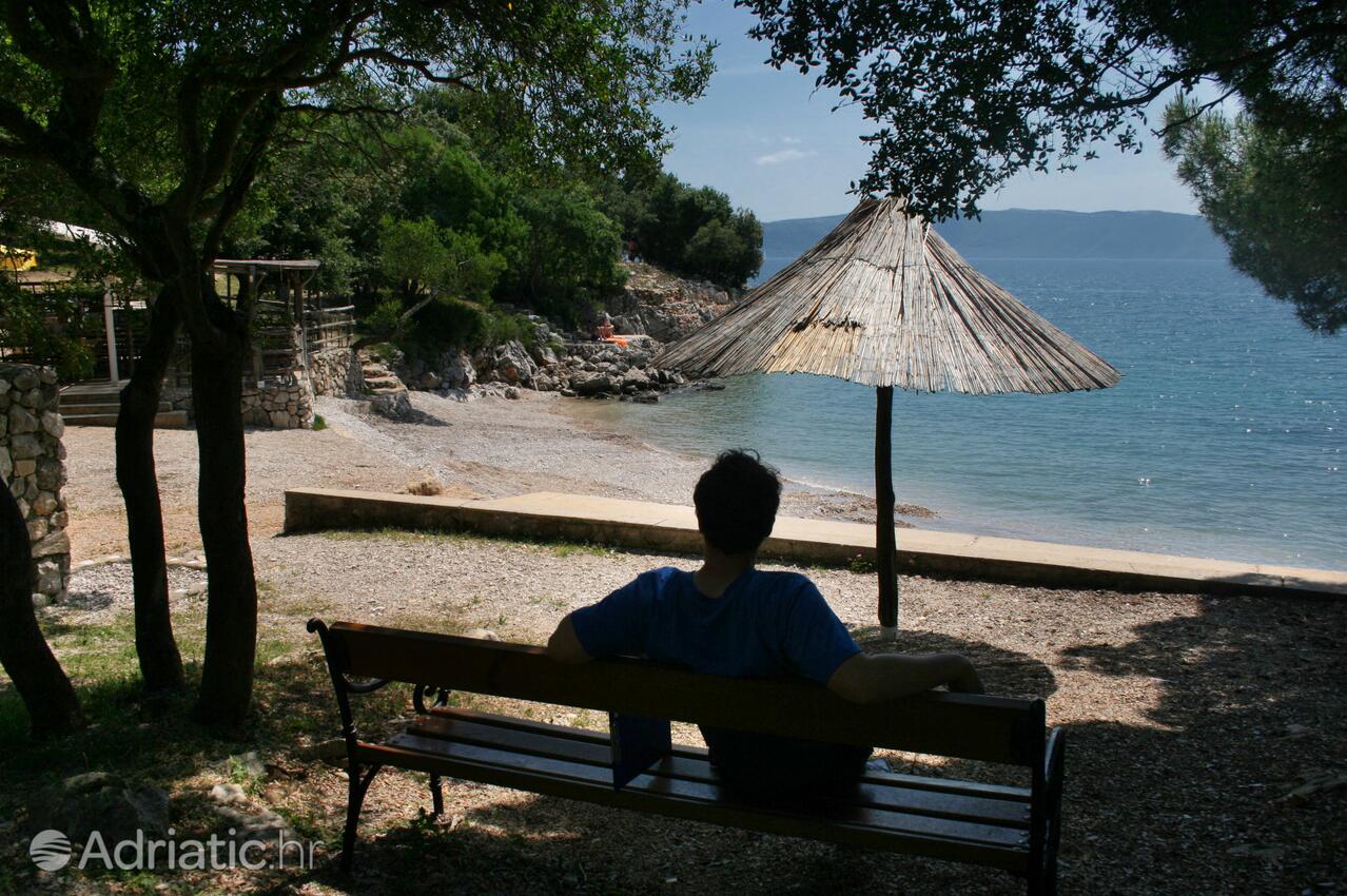 Najbližja plaža - Apartmaji s parkingom Pinezići, Krk