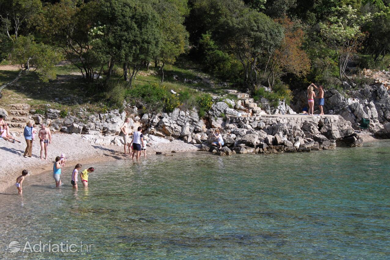 Najbližja plaža - Apartmaji s parkingom Pinezići, Krk