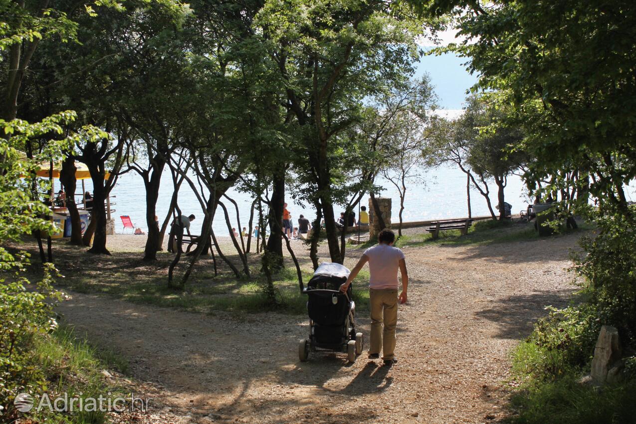 Najbližja plaža - Apartmaji s parkingom Pinezići, Krk