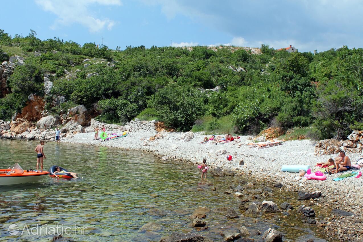 Adriatic.hr