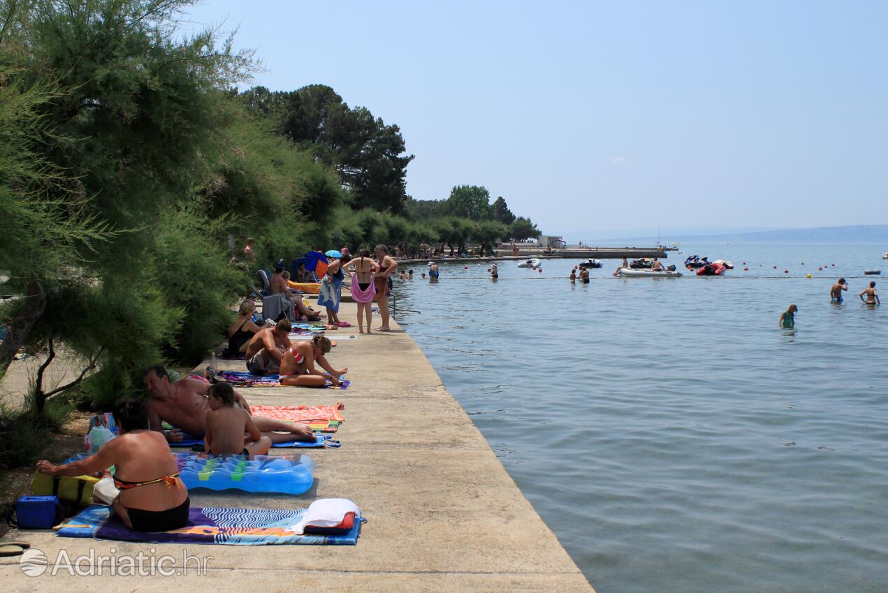 La spiaggia più vicina - Appartamenti con piscina Ponte - Punat, Veglia - Krk