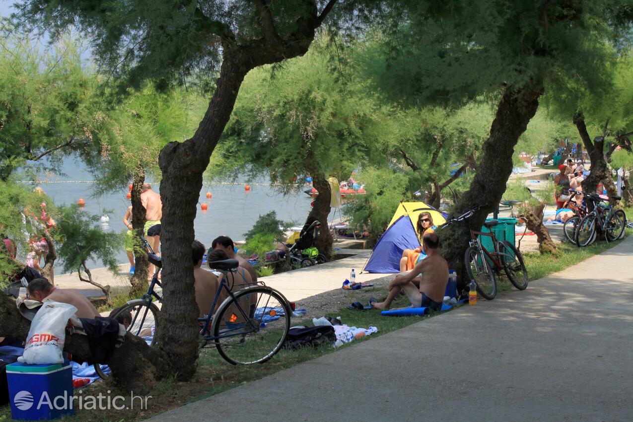 La spiaggia più vicina - Appartamenti con piscina Ponte - Punat, Veglia - Krk