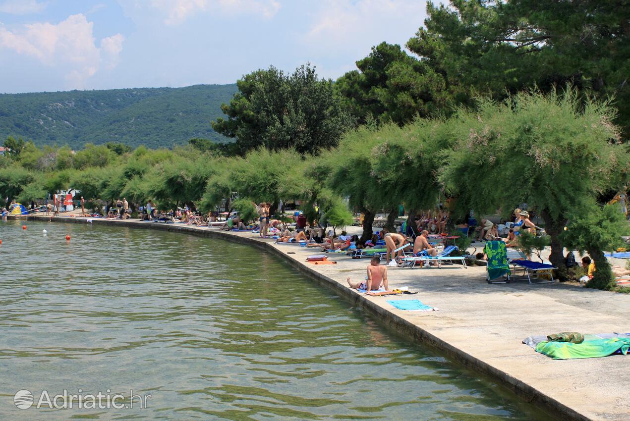 La spiaggia più vicina - Appartamenti con piscina Ponte - Punat, Veglia - Krk