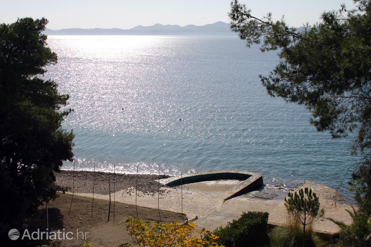 Adriatic.hr