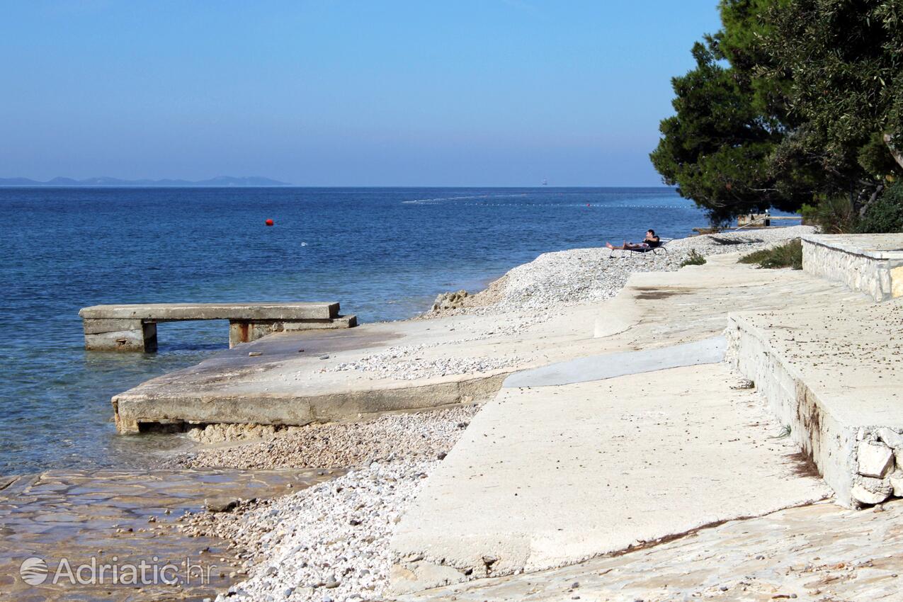 Adriatic.hr
