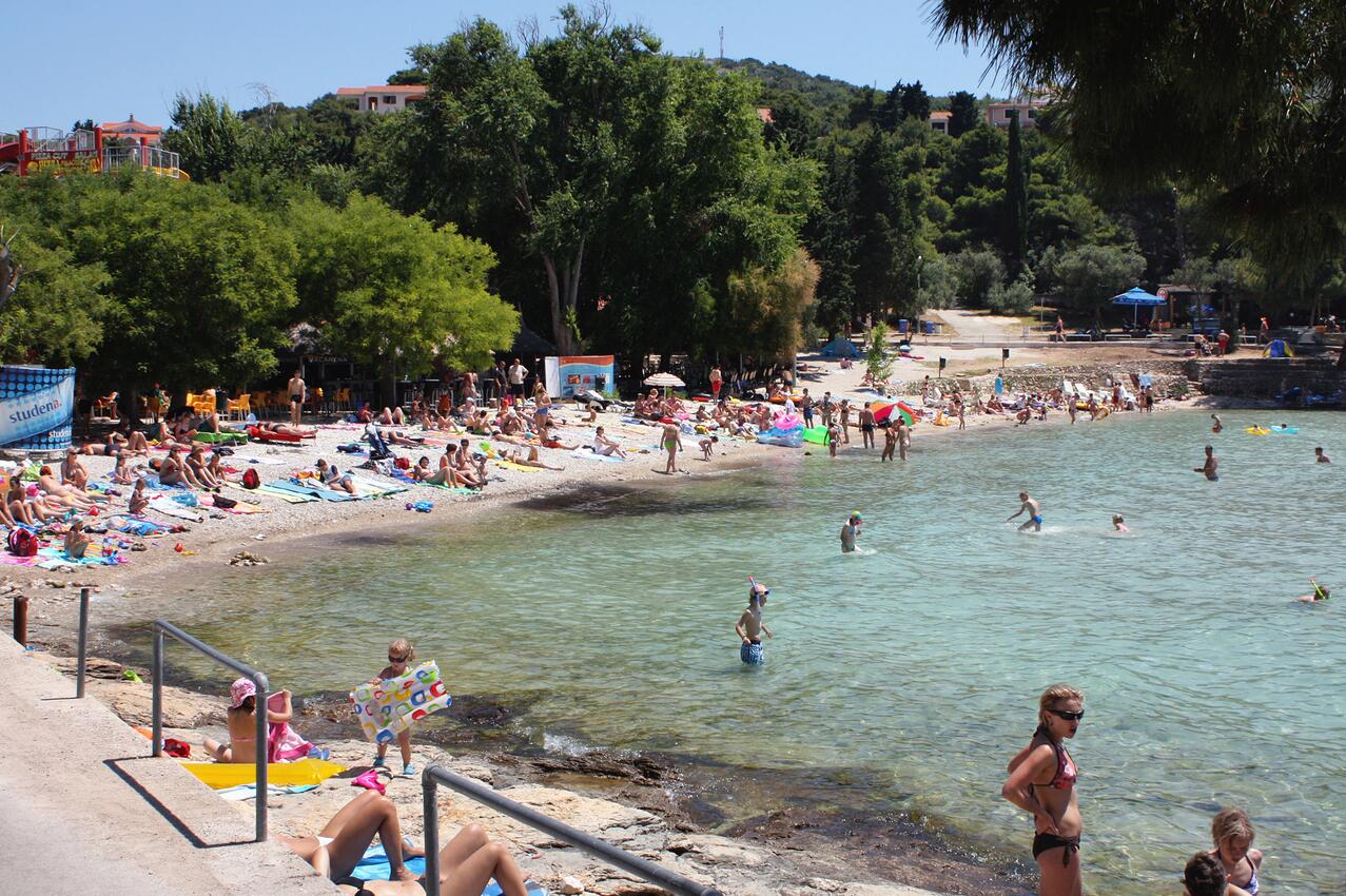 La spiaggia più vicina - Appartamenti con parcheggio Morter - Murter
