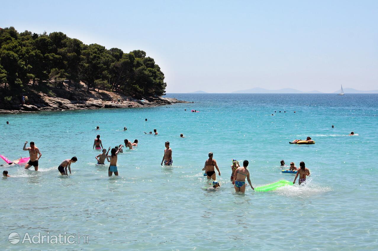 Adriatic.hr