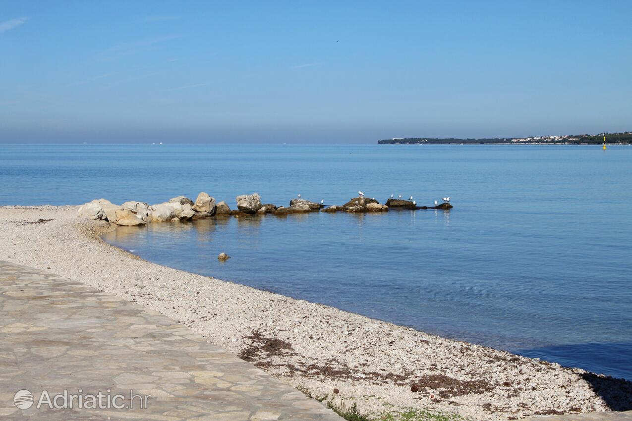 Adriatic.hr