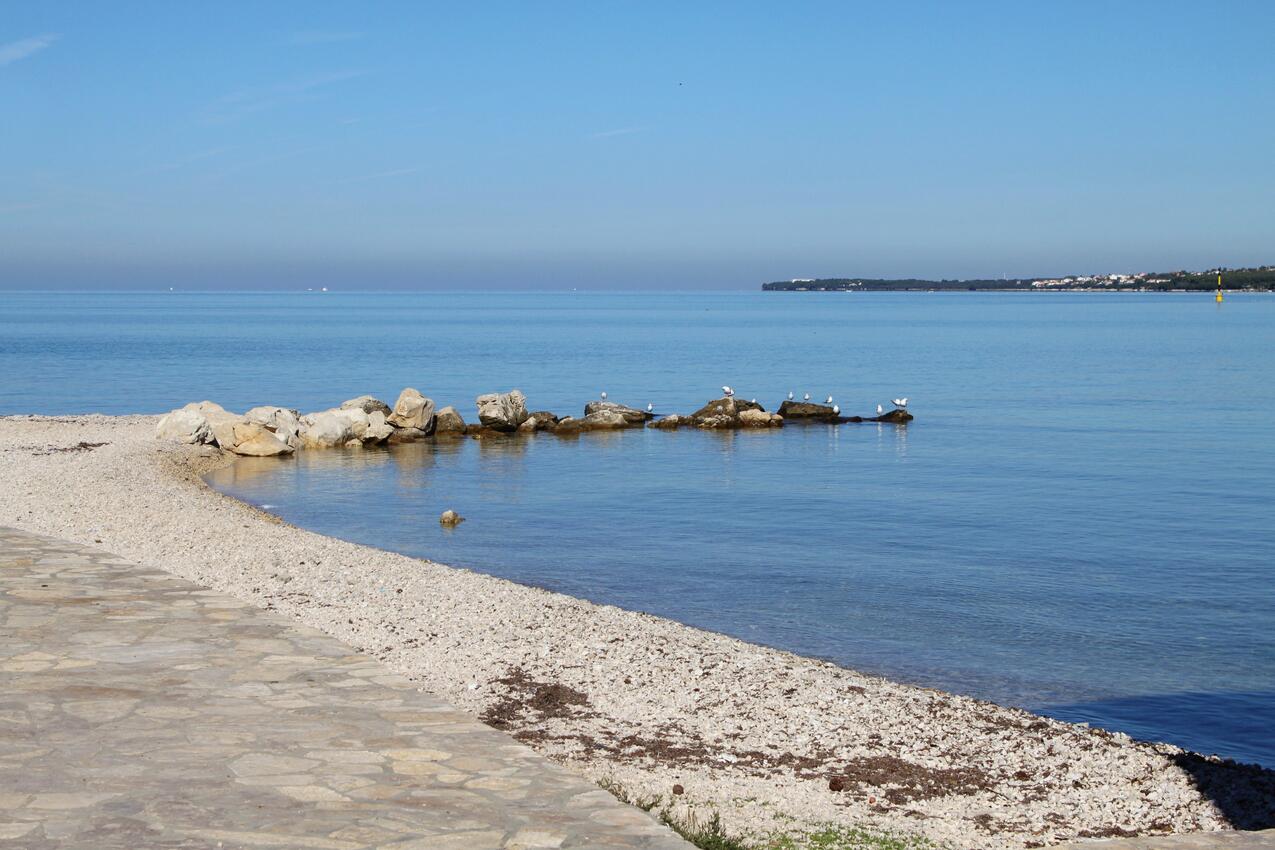 La spiaggia più vicina - Appartamenti con parcheggio Zara - Diklo - Zadar - Diklo, Zara - Zadar