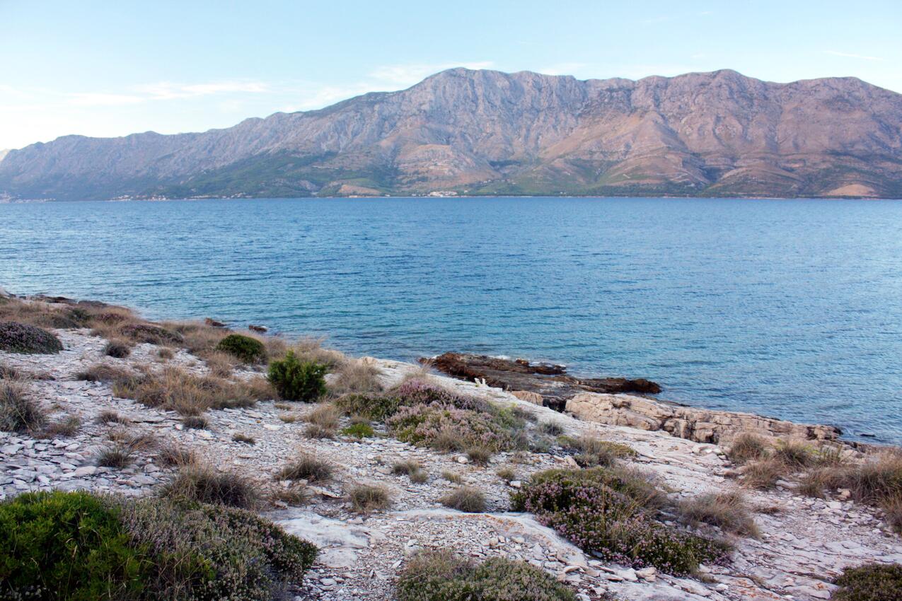 Najbližja plaža - Hiša za počitek ob morju Sućuraj, Hvar