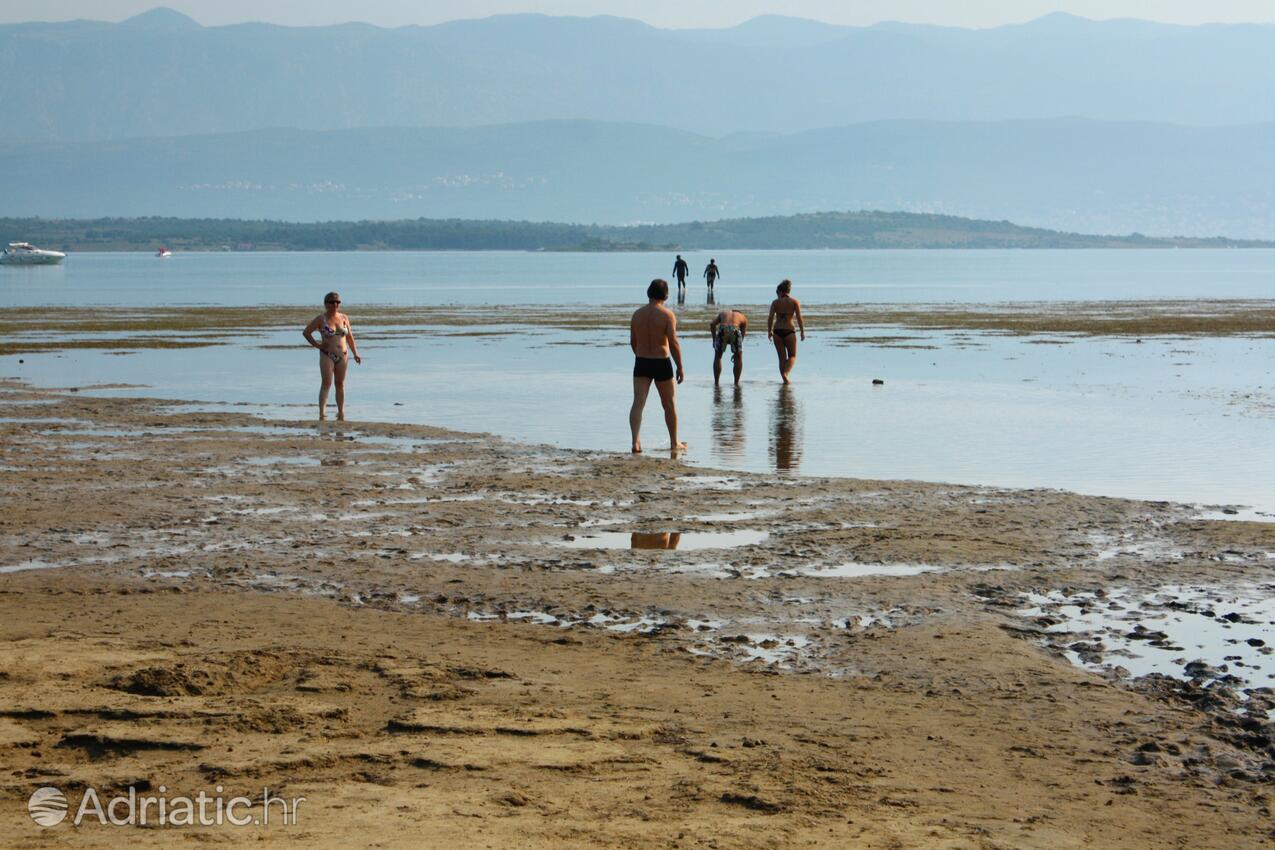 Adriatic.hr