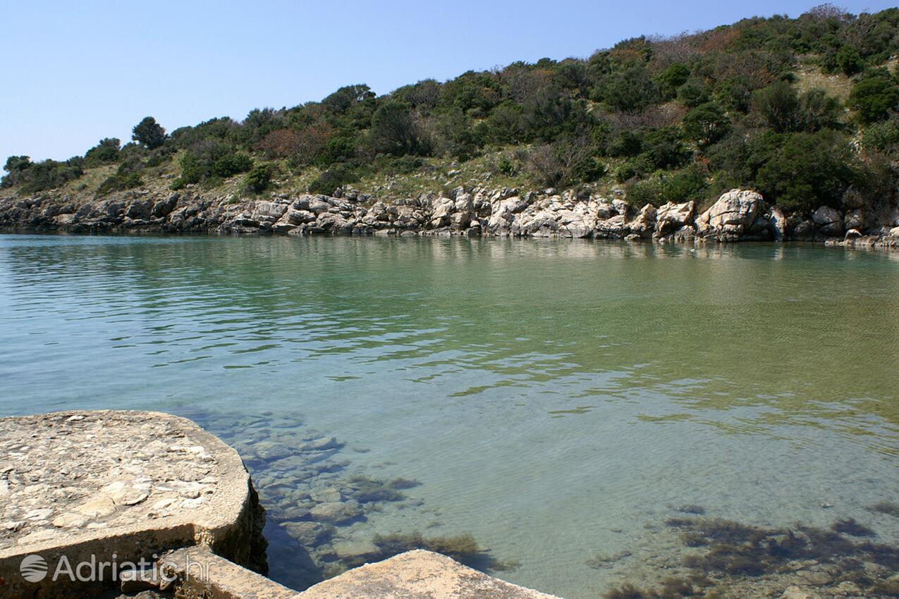 Adriatic.hr
