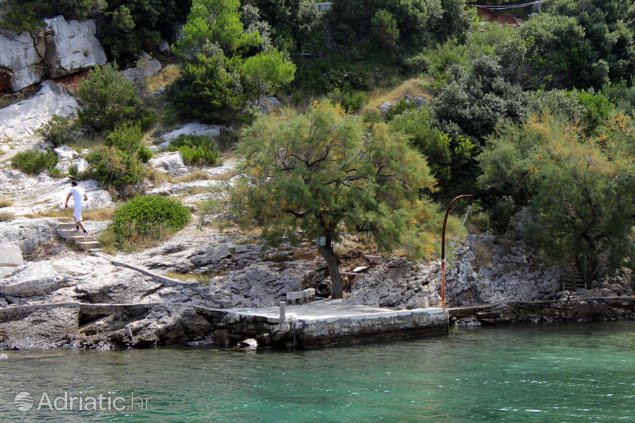 La spiaggia più vicina - Casa dei pescatori accanto al mare Baia Prapratna - Prapatna, Brazza - Brač
