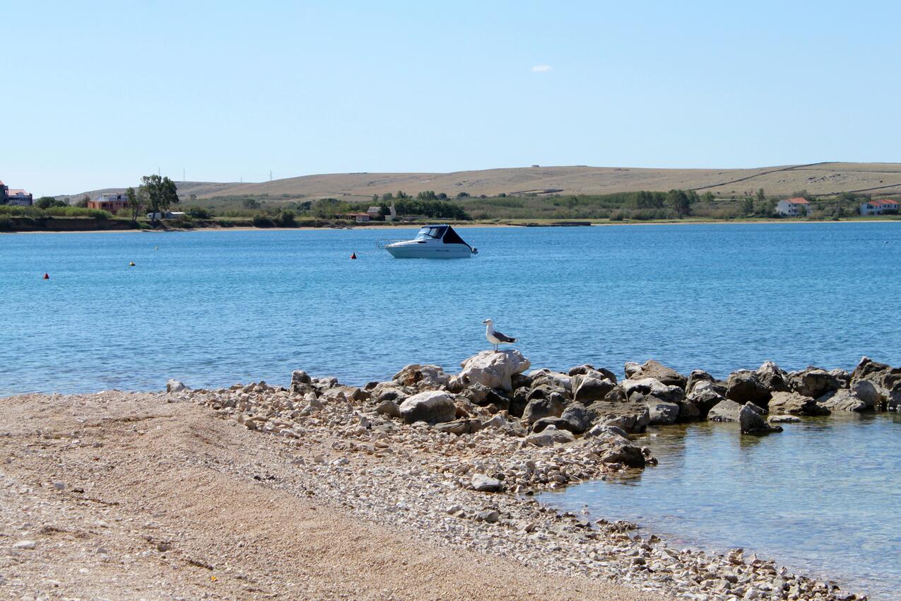 La spiaggia più vicina - Appartamenti con parcheggio Pogliana - Povljana, Pago - Pag