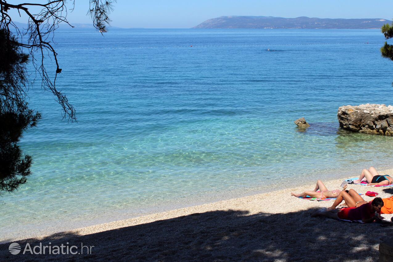 Adriatic.hr