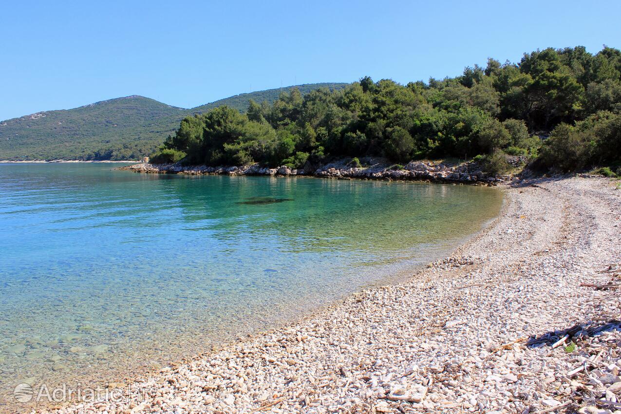 Adriatic.hr