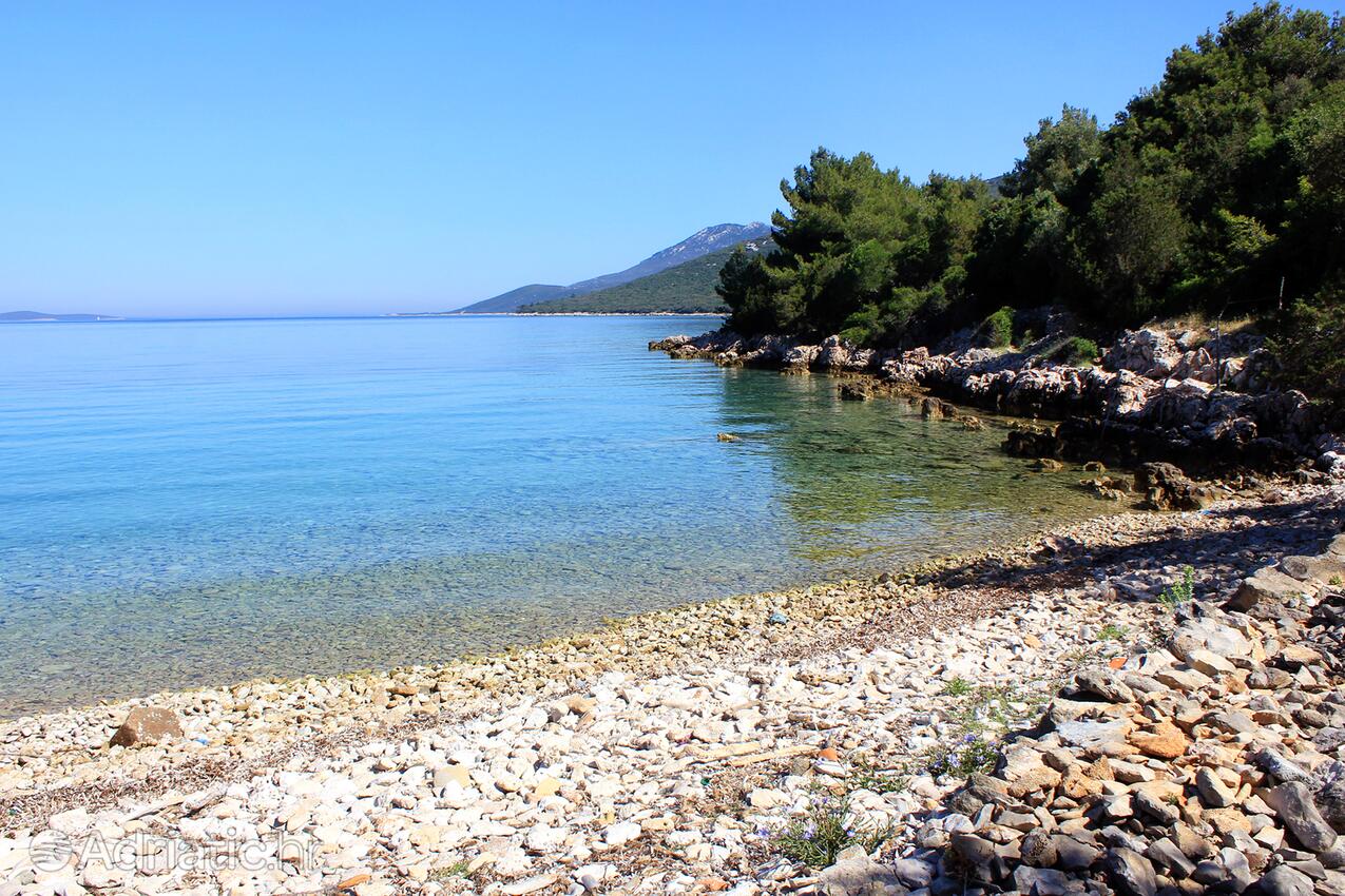 Adriatic.hr