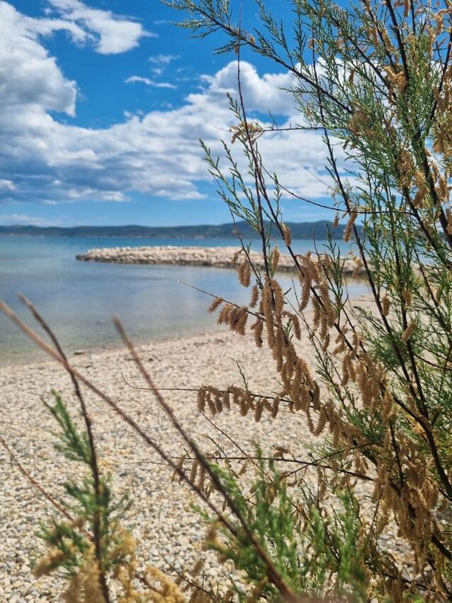 La spiaggia più vicina - Appartamenti accanto al mare San Cassiano - Sukošan, Zara - Zadar