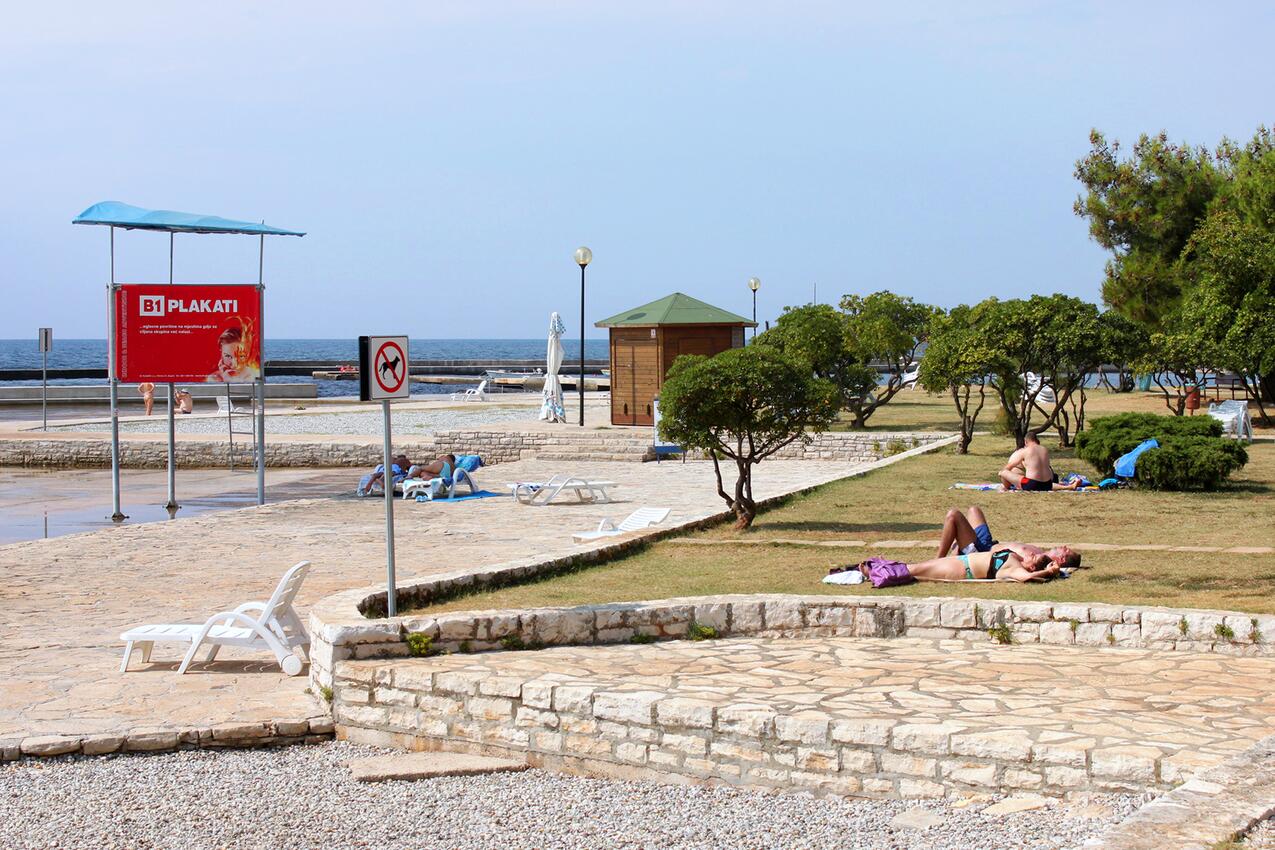 Najbliža plaža - Apartmani uz more Umag