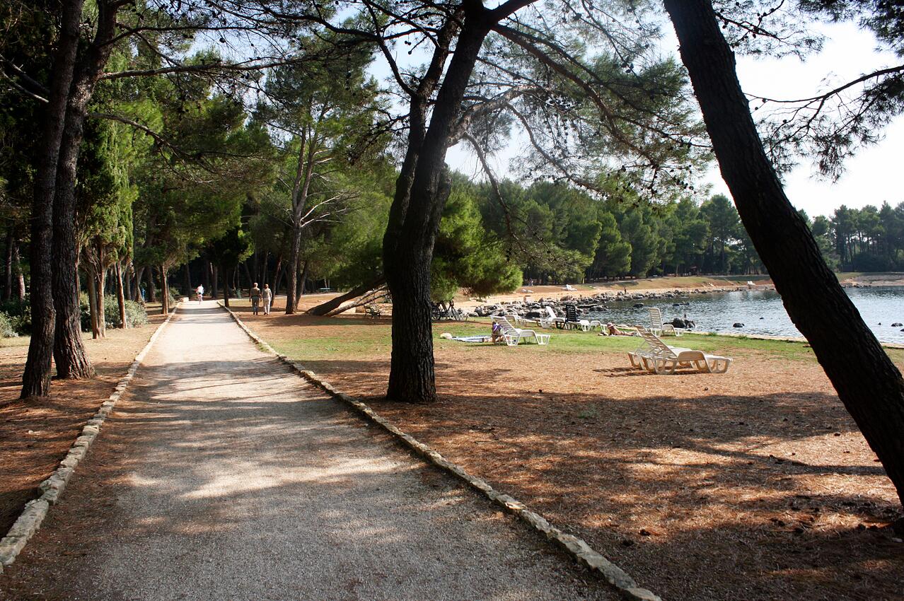 Nearest beach - Apartments with WiFi Rovinj
