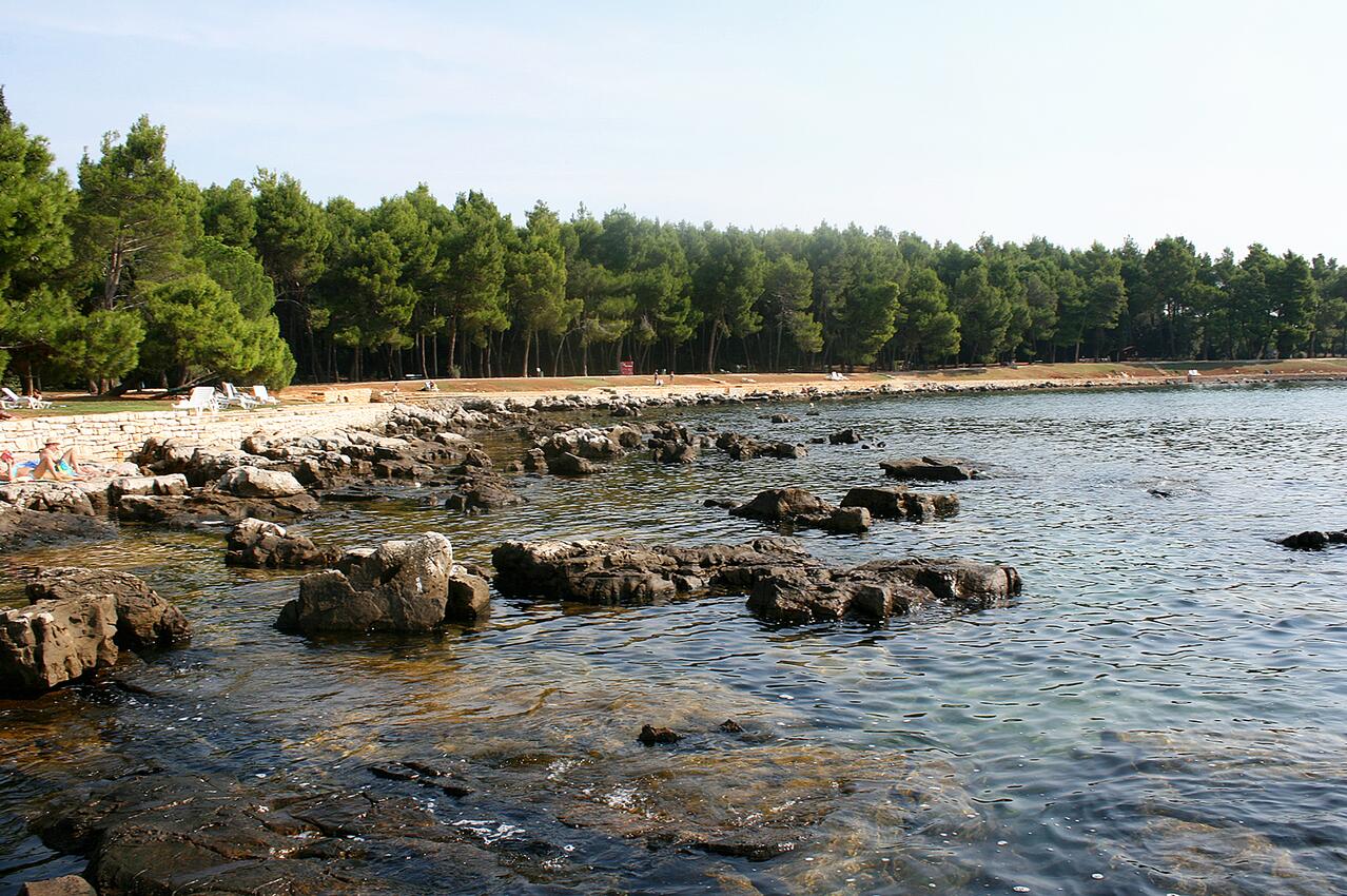 Nearest beach - Apartments with WiFi Rovinj