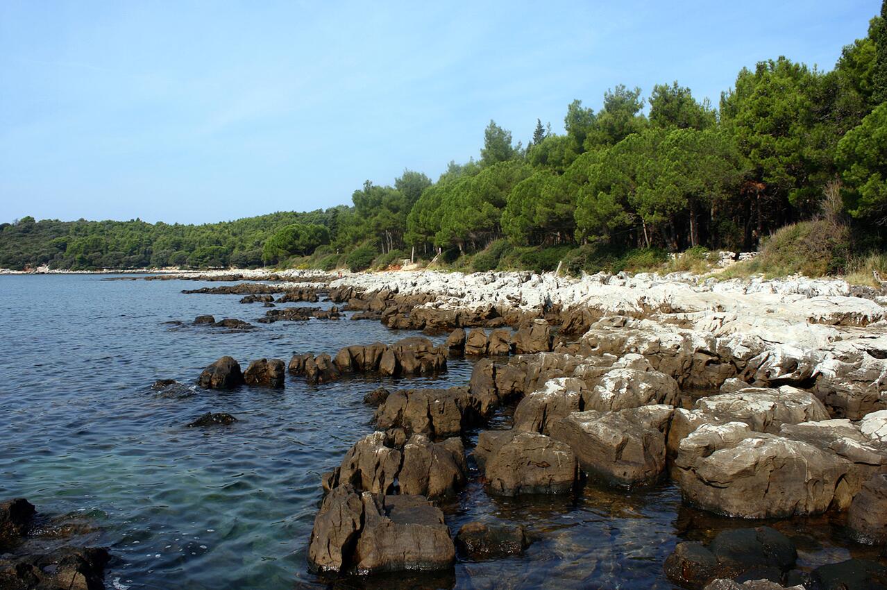 Nearest beach - Apartments with WiFi Rovinj