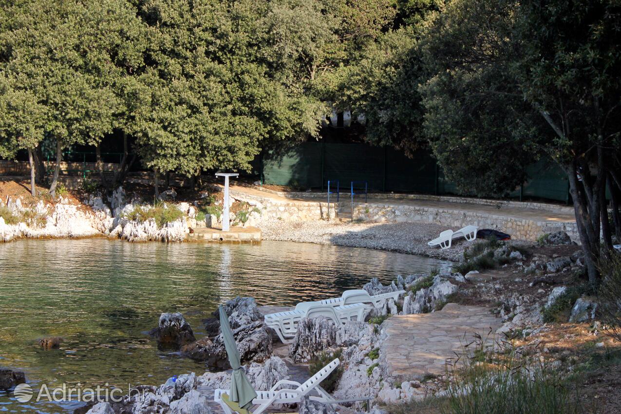 Adriatic.hr