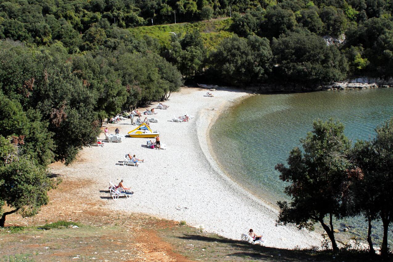 Legközelebbi strand - Apartmanok parkolóhellyel Pavicini, Marcana