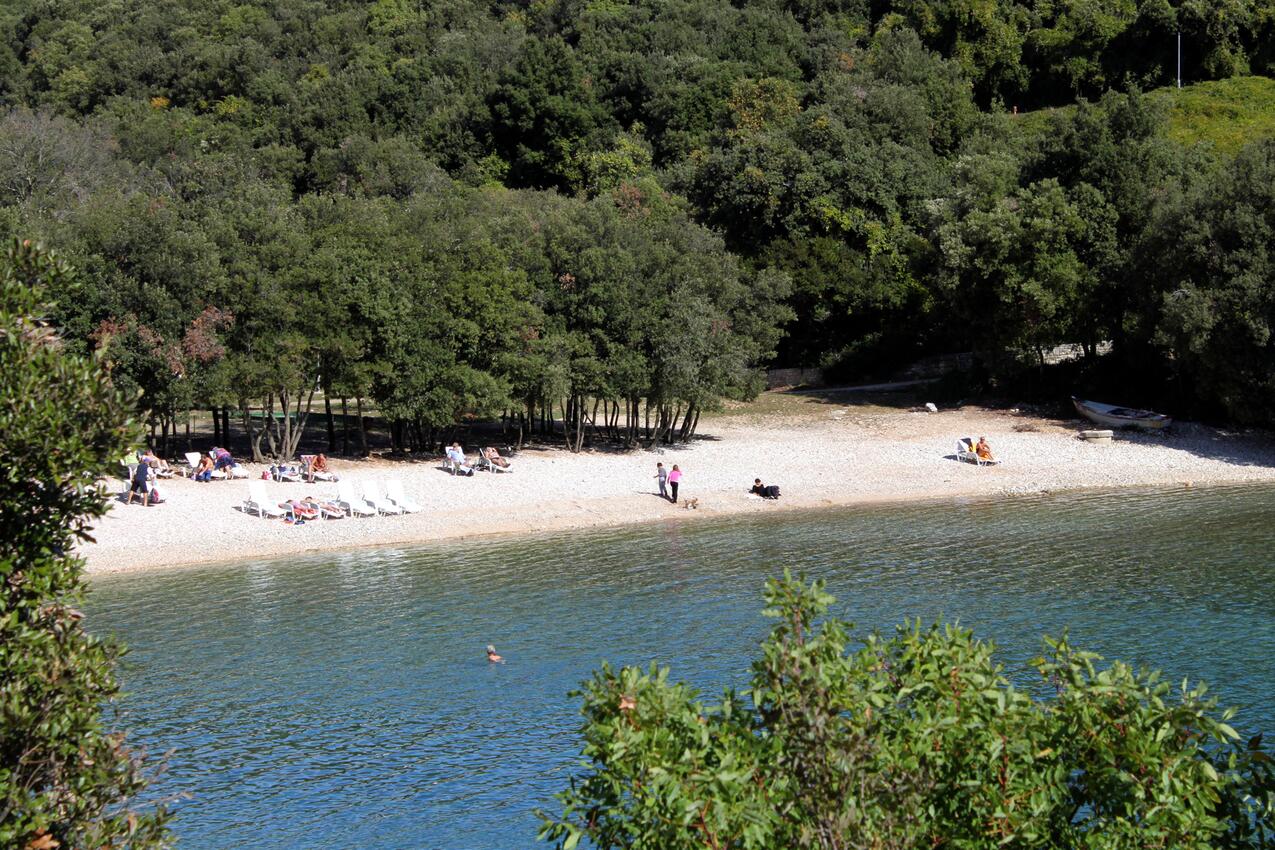 Legközelebbi strand - Apartmanok parkolóhellyel Pavicini, Marcana