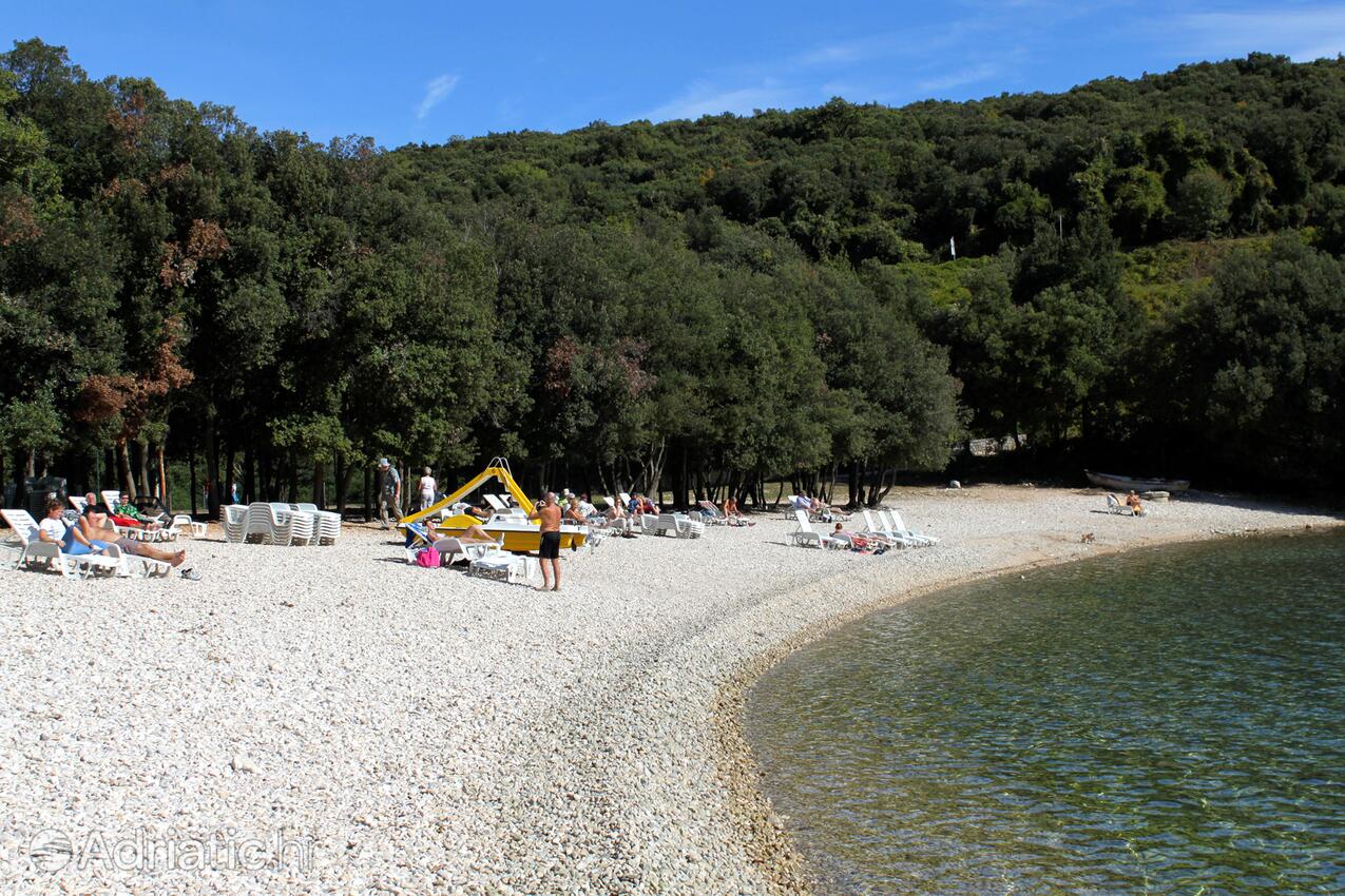 Adriatic.hr