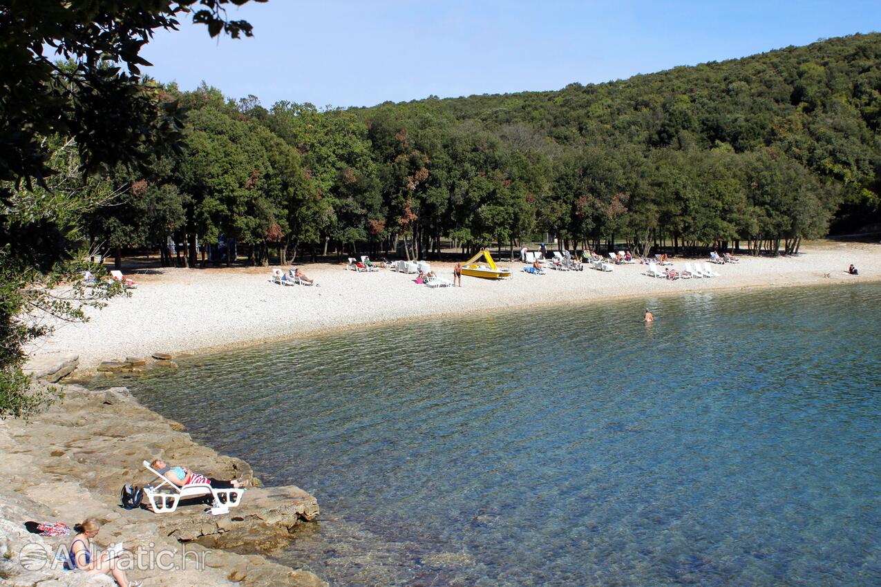 Adriatic.hr
