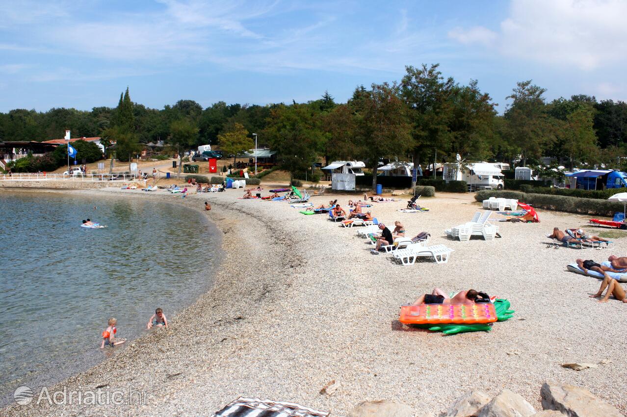 Adriatic.hr