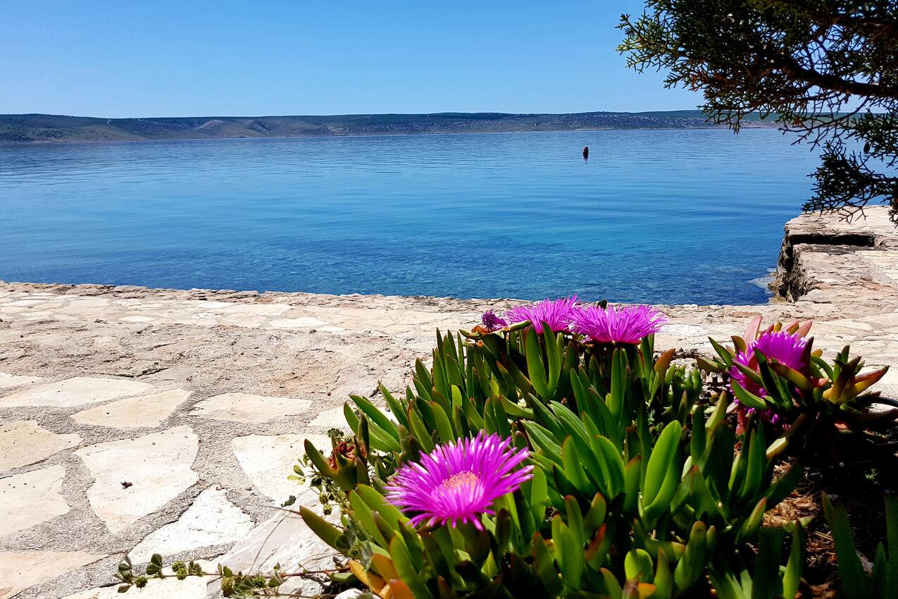 Nærmeste strand - Apartmani i sobe uz more Starigrad, Paklenica