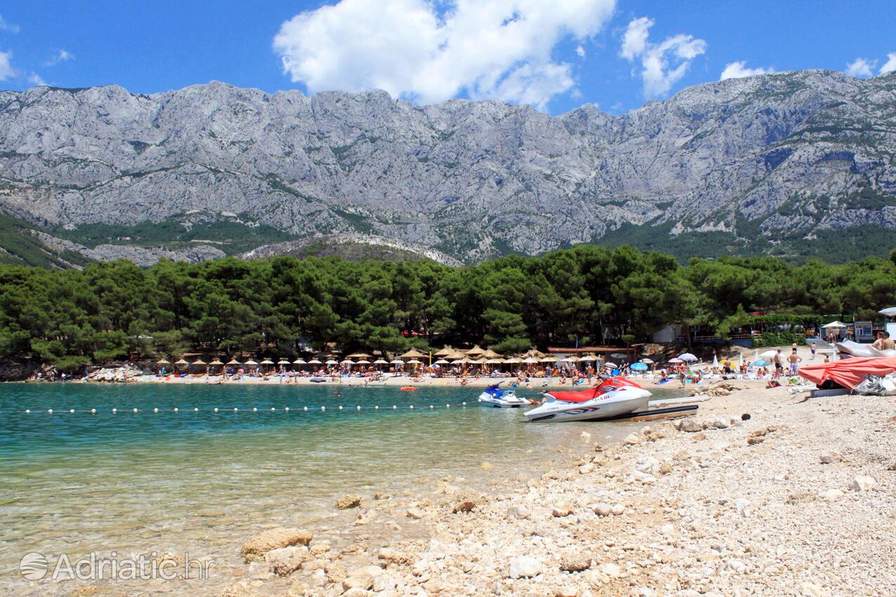 Adriatic.hr
