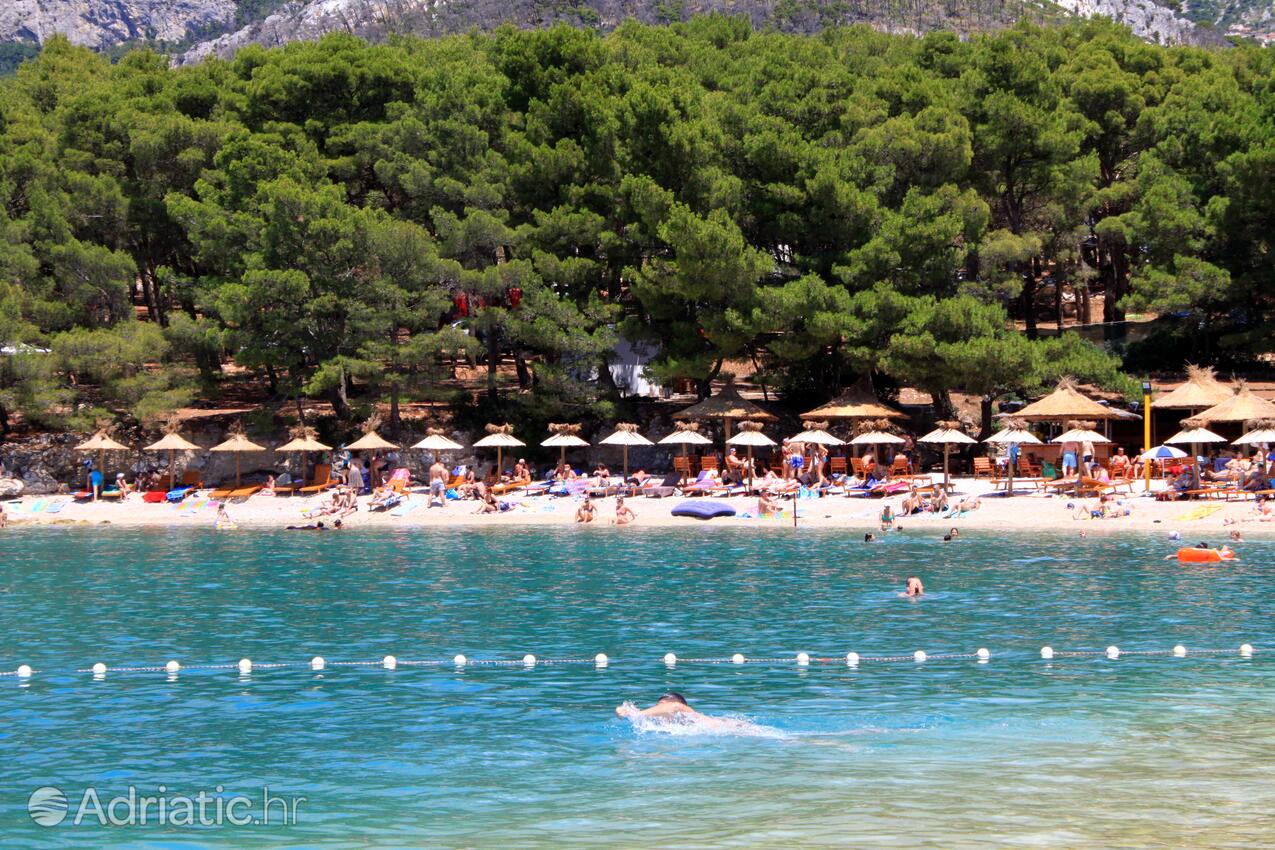 Adriatic.hr