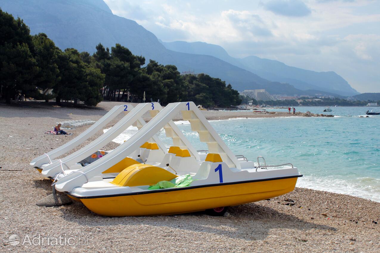 Adriatic.hr