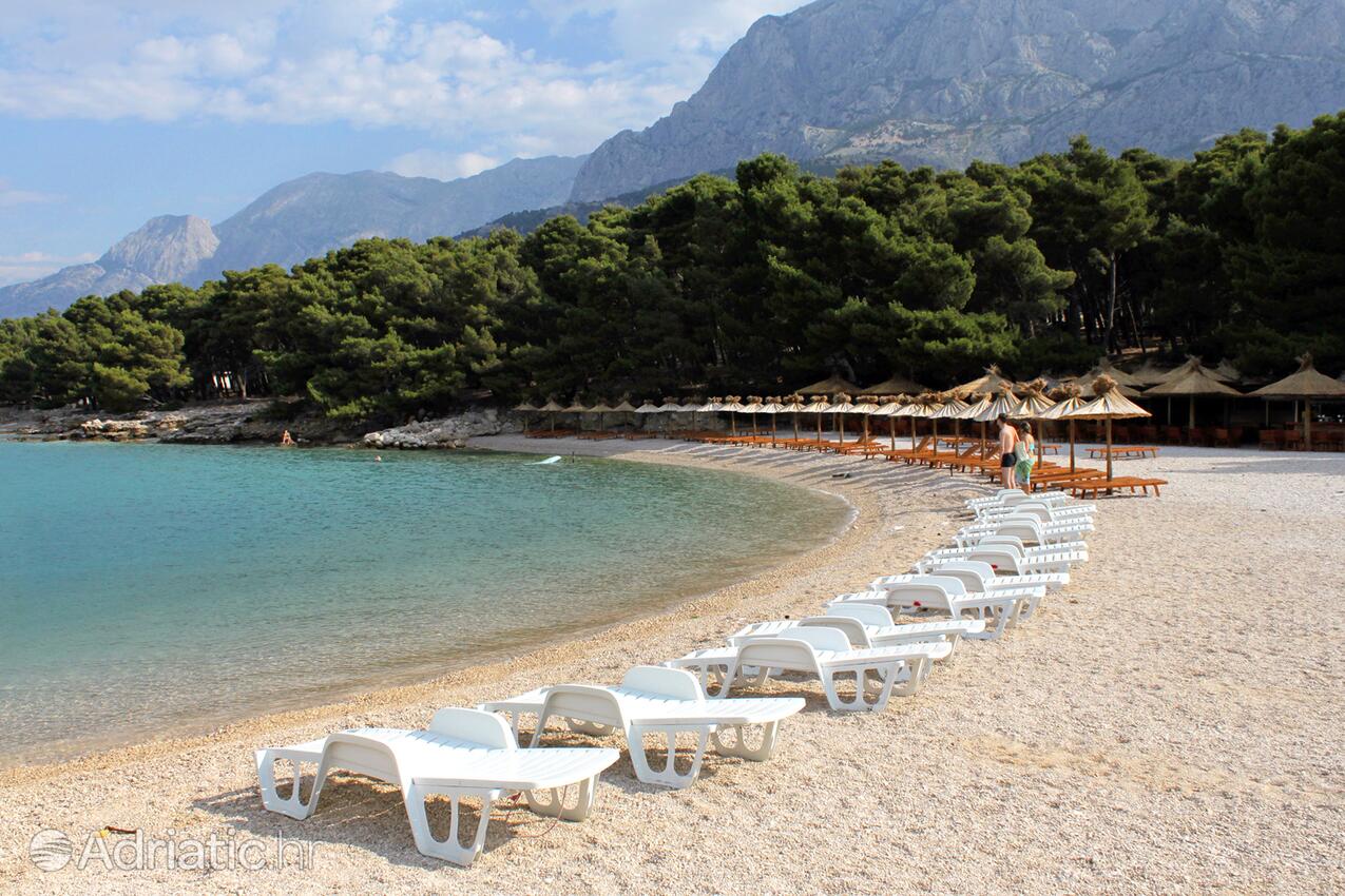 Adriatic.hr