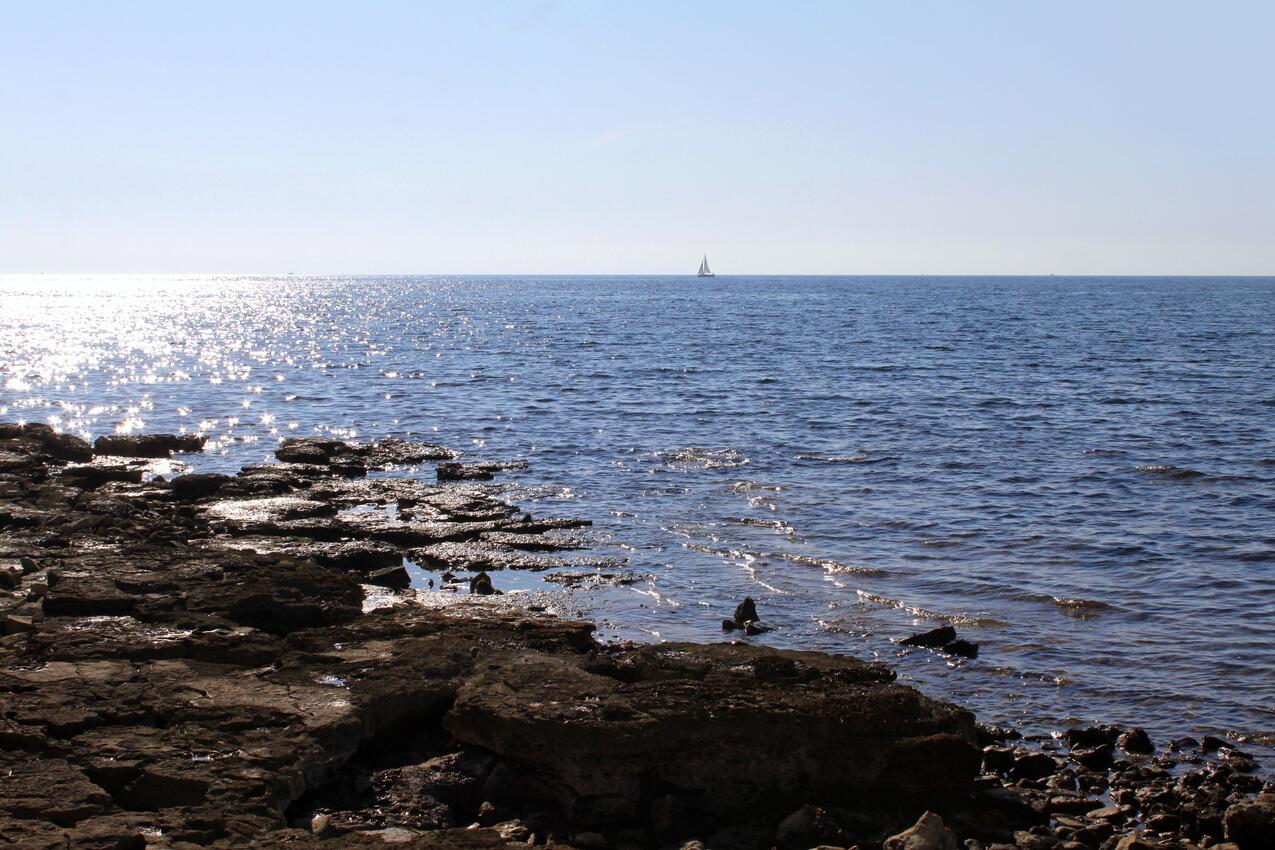 La spiaggia più vicina - Appartamenti accanto al mare San Giovanni - Sveti Ivan, Umago - Umag