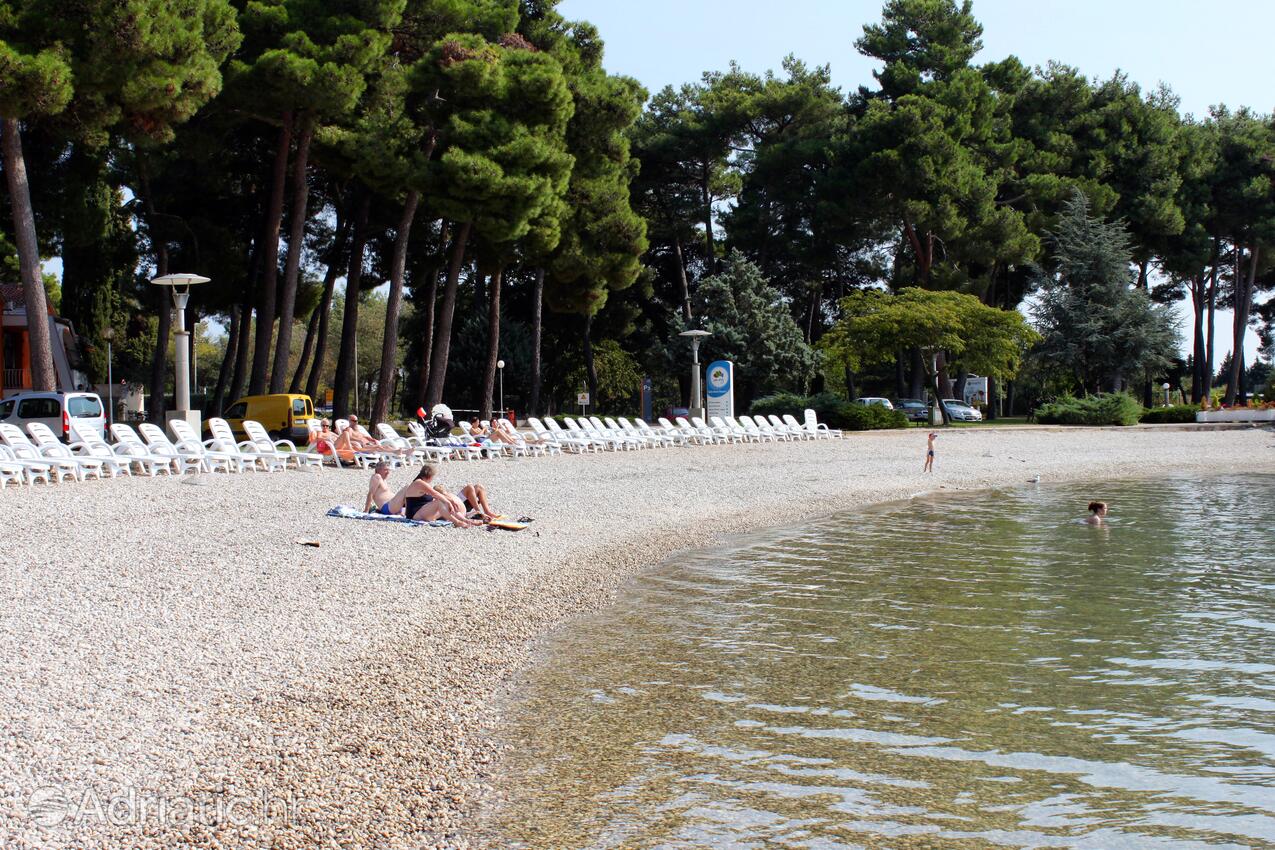 La spiaggia più vicina - Appartamenti con piscina per famiglie Fratrici, Umago - Umag