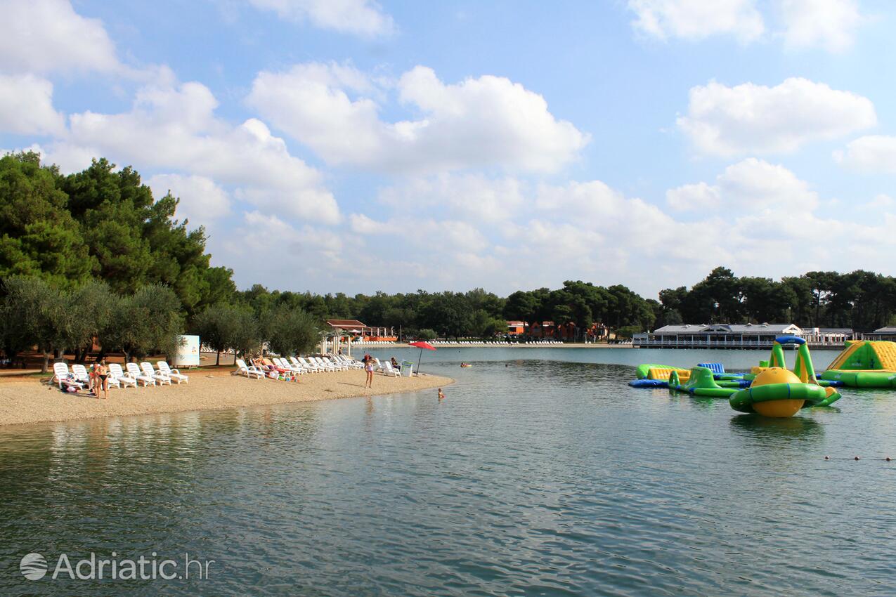 La spiaggia più vicina - Appartamenti con piscina per famiglie Fratrici, Umago - Umag