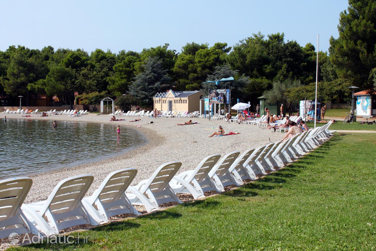 La spiaggia più vicina - Appartamenti con piscina per famiglie Fratrici, Umago - Umag