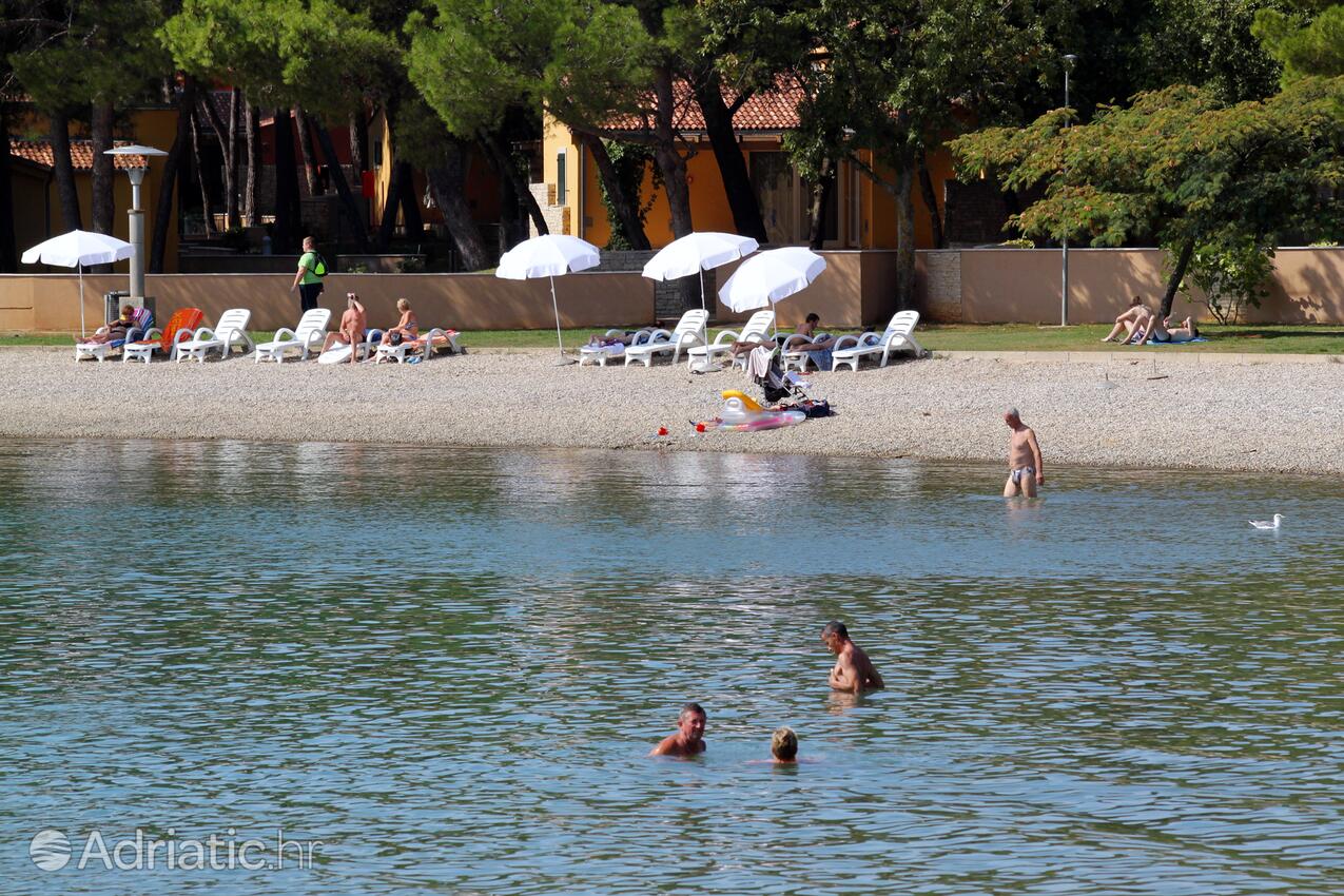 La spiaggia più vicina - Appartamenti con piscina per famiglie Fratrici, Umago - Umag