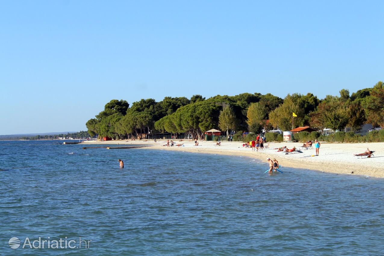 La spiaggia più vicina - Appartamenti con parcheggio Valbandon, Fasana - Fažana