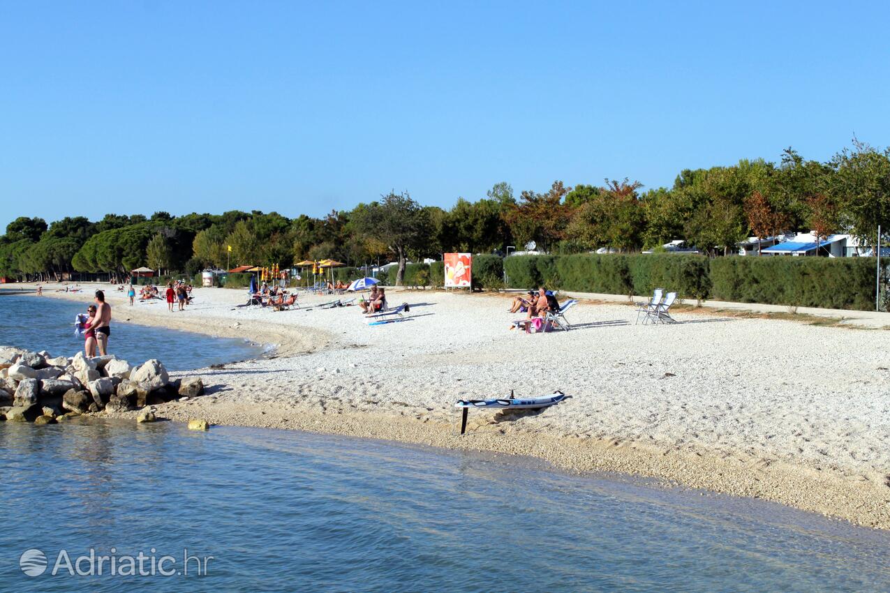 La spiaggia più vicina - Appartamenti con parcheggio Valbandon, Fasana - Fažana