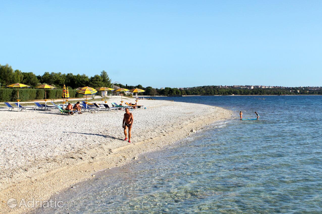 La spiaggia più vicina - Appartamenti con parcheggio Valbandon, Fasana - Fažana