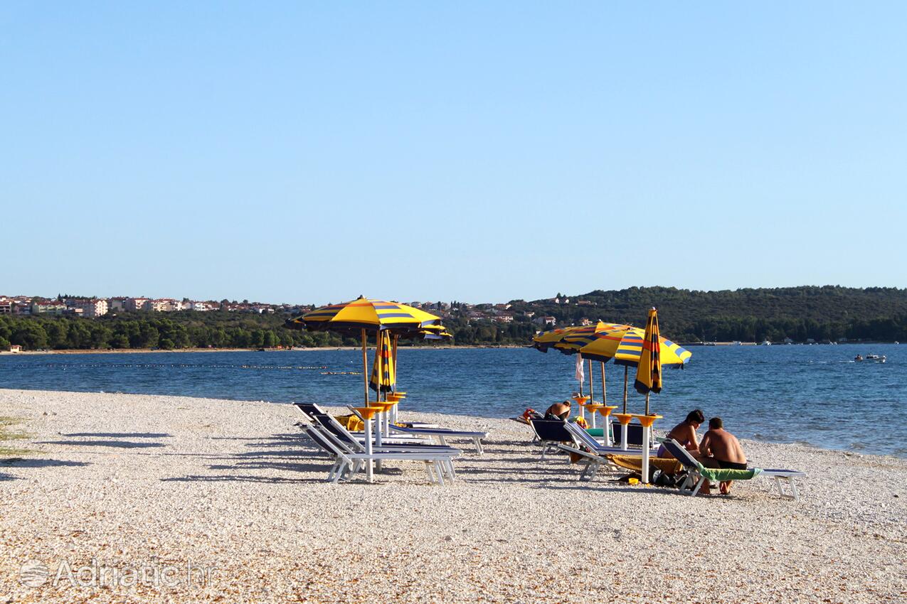 La spiaggia più vicina - Appartamenti con parcheggio Valbandon, Fasana - Fažana