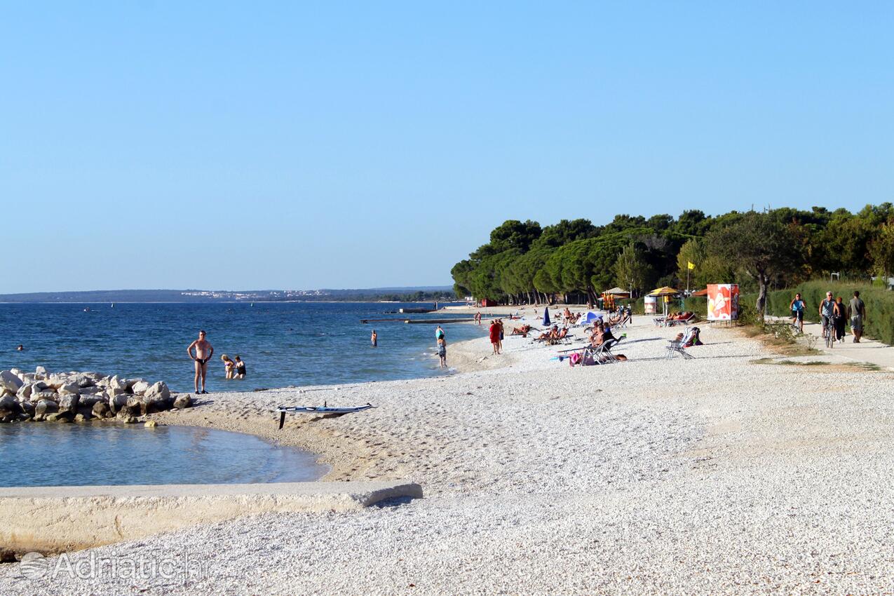La spiaggia più vicina - Appartamenti con parcheggio Valbandon, Fasana - Fažana
