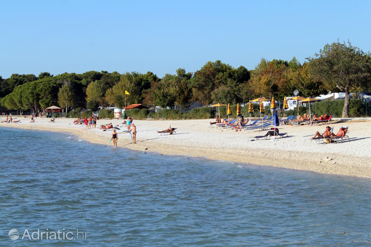 La spiaggia più vicina - Appartamenti con parcheggio Valbandon, Fasana - Fažana