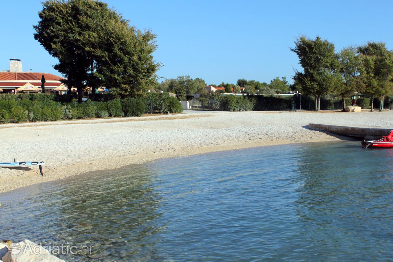 La spiaggia più vicina - Appartamenti con parcheggio Valbandon, Fasana - Fažana