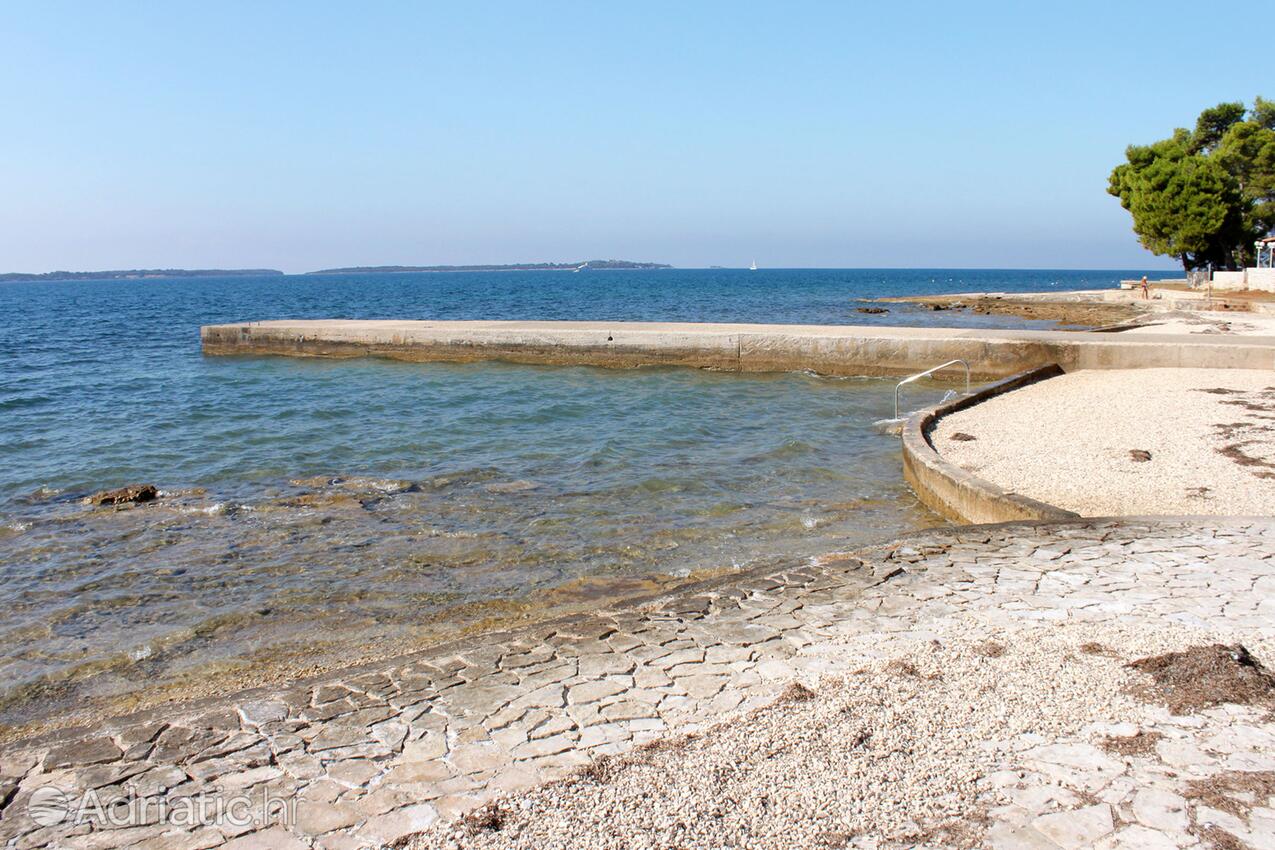 La spiaggia più vicina - Casa con piscina per famiglia Butcovici - Butkovići, Istria Centrale - Središnja Istra
